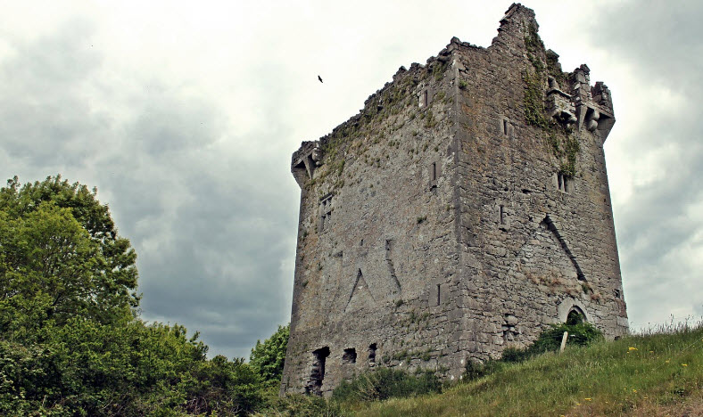 Ballynamona Castle, Ireland